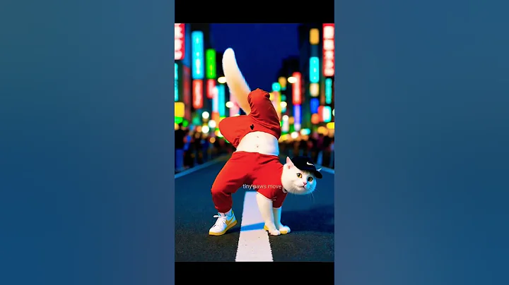 Video 11431201: cats kitten funny catlover, cat kitten dancing, cat cute kitten dance, cutest cat dance