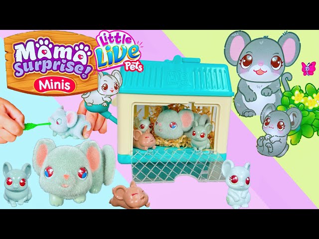 Little Live Pets Mama Surprise Lil' Mouse Minis, Ages 5+