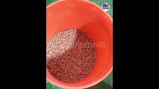 Making Saw Dust Wood Pellets tutorial 120B