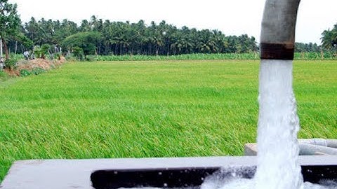 Agriculture And Irrigation In Chola Empire