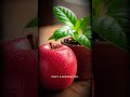 Grow Pineapple Faster (Secret Hack) #plantshorts #plants