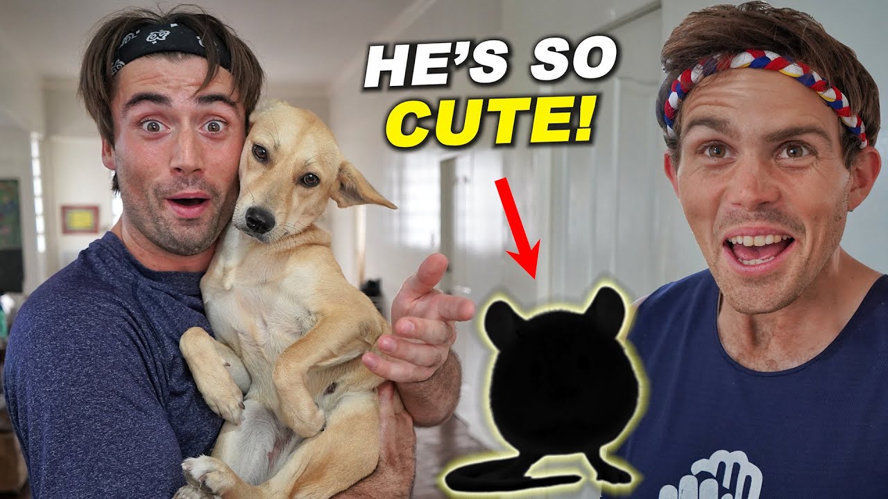 WE GOT A NEW PET? (Roommate Could Not Believe It!) WE GOT A NEW PET? (Roommate Could Not Believe It!)