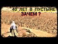 40 лет в Пустыне - Зачем?