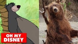 Disneynature Bears | How to Be a Disney Bear thumbnail