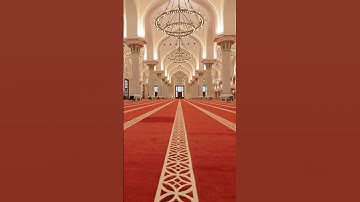 تلاوة كردية من اواخر سورة الشمس | #تلاوة_خاشعة