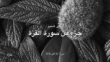 تلاوة من سورة البقرة للقارئ عمير شميم | UMAIR SHAMEEM