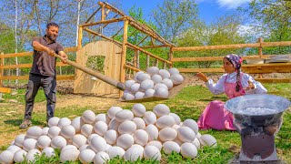 Egg Feast in the Mountains! Poached Eggs for Breakfast with 150 Eggs! Village Affairs