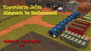 Farming Simulator 18 Koyun Satın Alma Ve Yetiştirme