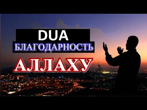 ДУА- БЛАГОДАРНОСТЬ АЛЛАХУ! ЗА ВСЁ!!! ОЧЕНЬ СИЛЬНОЕ ДУА!