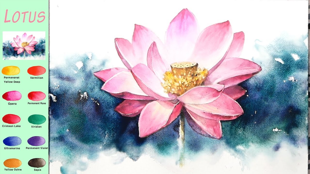 Basic Flower Watercolor - Lotus (sketch & color mixing, Arches) NAMIL ART -  thptnganamst.edu.vn