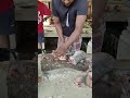 “Fresh Mirgol Fish Cutting 🐟 | Desi Style Fish Cleaning | Fish Cutting Video”#fish #shorts