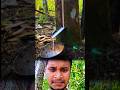 গাছে থেকে কস বের করা✅✅ #camping #funny #campping #hack #tipsntricks #shorts