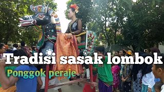 Tradisi sasak lombok ponggok peraje