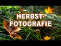 LANDSCHAFTSFOTOGRAFIE im HERBST | Nach dem REGEN ist es am BESTEN