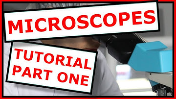 Step-by-Step Guide to use a Microscope like a Pro with Dr. O