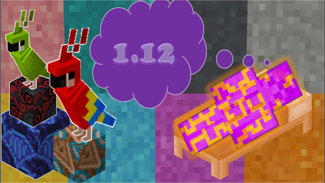 1.12 REVIEW!!!-PARROTS!, CONCRETE!, MULTI COLORED BEDS!, AND MORE!