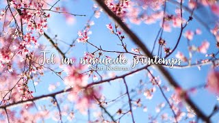 Saori Kodama (Hetalia: The Beautiful World) — Tel un minuscule printemps [LYRICS/SUB ESP]