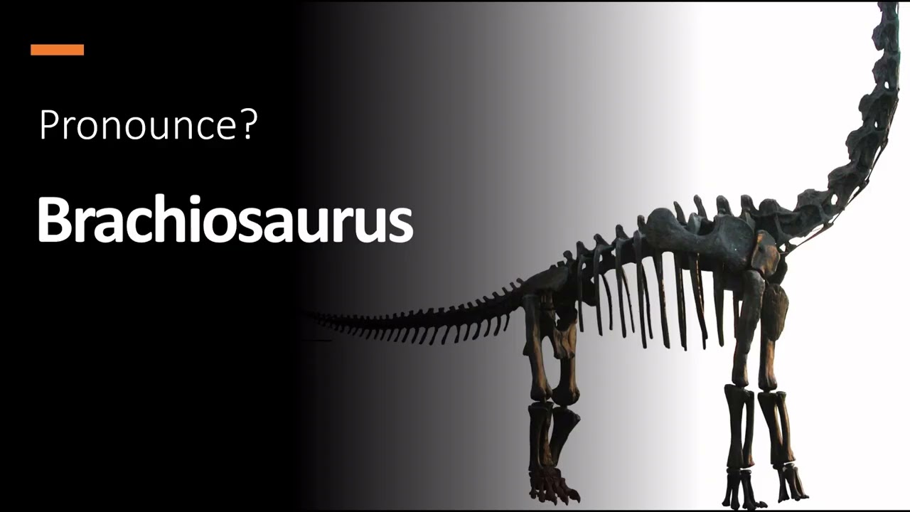 How to Pronounce ''Brachiosaurus'' Correctly! (Dinosaur)