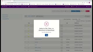 Open OnDemand Files
