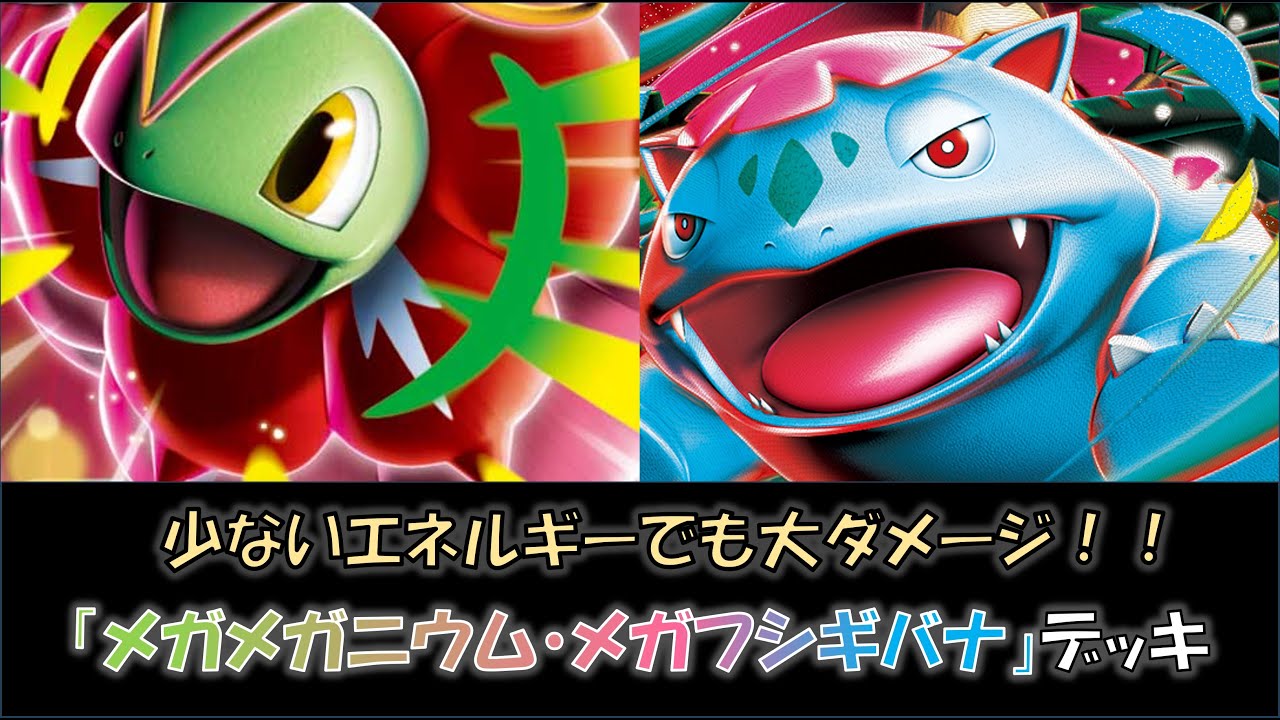 ジムバ優勝】『メガメガニウム・メガフシギバナ』デッキをご紹介