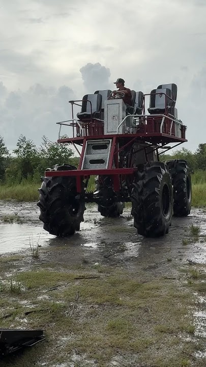 Swamp Buggy Riding & Hog Hunting in South Florida #shorts #buggy #dog # ...