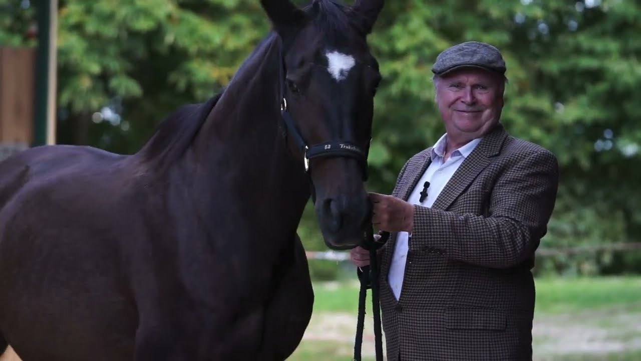 Trakehnerzucht Büttner - Ein Interview mit Horst Büttner