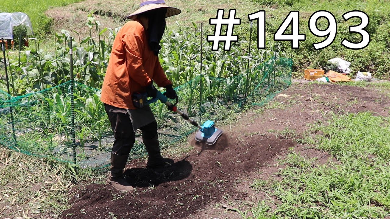 畑周りの草対策には草刈機と電動耕運機ではどっちがいいかな？試しに刈って耕してみたよ