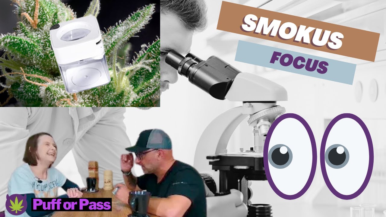 Puff or Pass:  Taking the stash jar to the next level with Smokus Focus