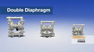 Graco SaniForce Product Line Overview
