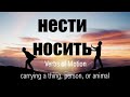 Intermediate Russian. Verbs of Motion: НЕСТИ - НОСИТЬ