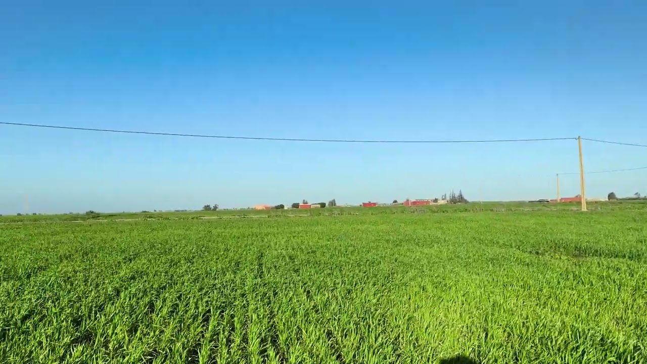 0661467850الارض هكتار و8600متر محفظة نواحي مدينة ابن سليمان جماعة زيايدة همزة