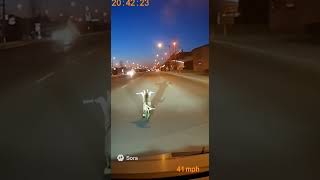 Police in hot purrsuit🐈