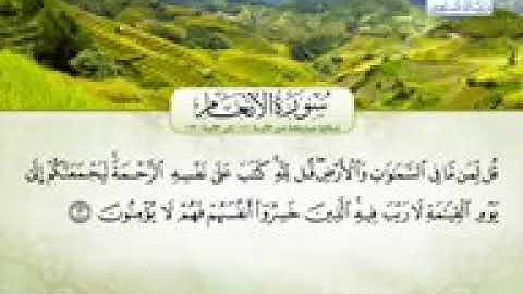 تلاوة من سورة الأنعام للقارئ طارق عرفة