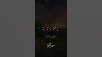 ﴿ الأَعرابُ أَشَدُّ كُفرًا وَنِفاقًا … ﴾ | #قراءة من #سورة_التوبة لـ #محمد_صديق_المنشاوي