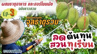ชาวสวนฝึกหัด | Ep.3 ลดต้นทุนทำสวนทุเรียน ลงทุนน้อยกำไรมาก (ผสม จุลธาตุรวม)