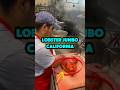 Kuliner Lobster jumbo khas California Amerika. #faktaunik #faktamenarik #kuliner