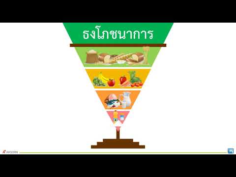 วิทยาศาสตร์ ป 6 อาหารและสารอาหาร