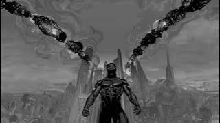 Black Panther Phonk (BRAZILIAN DANÇA PHONK)