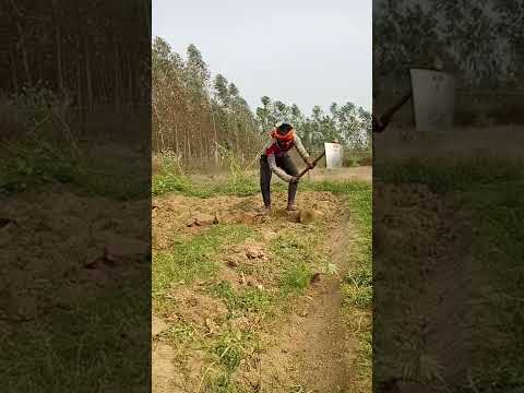 shilpi Raj man joge millel piyava kissanime pancham Lal south video