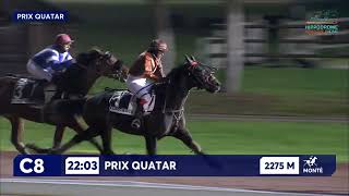 Vidéo de la course PMU PRIX QATAR