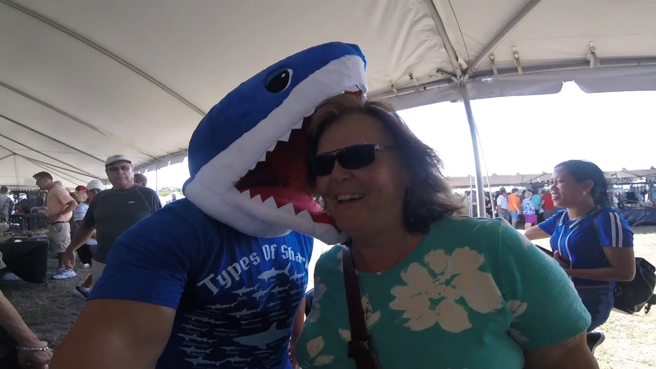 Venice Shark's Tooth Festival 2019, Venice Beach Florida YouTube