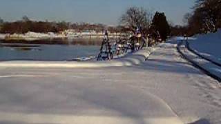 T-REX450SE 20091122No2.AVI