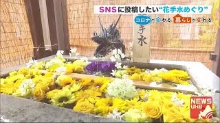 SNSに投稿したい