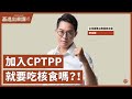 【基進出來講】李宗霖主講|加入CPTPP就要吃核食嗎?!|中國阻撓台灣加入cptpp的手法|國民黨別來亂 【基進出來講】李宗霖主講|加入CPTPP就要吃核食嗎?!|中國阻撓台灣加入cptpp的手法|國民黨別來亂