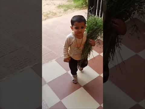 Hardworking baby😀#shorts #viral