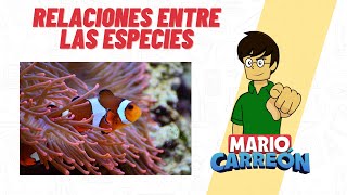 Relaciones entre las especies: mutualismo, comensalismo, parasitismo y simbiosis.