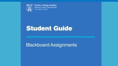 Student Guide for Blackboard Assignments | IT Services (Trinity College Dublin)