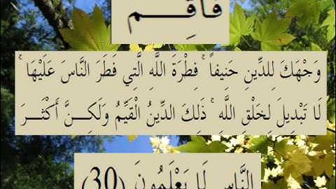 القران الكريم سورة الروم الأية 30.wmv