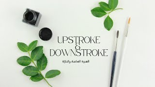 الضربة الصاعدة والنازلة UPSTROKE & DOWNSTROKE