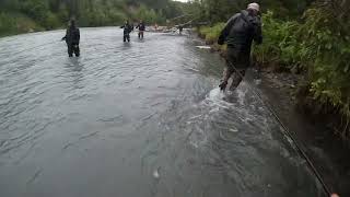 Sockeye Salmon Fishing On The Kasilof River